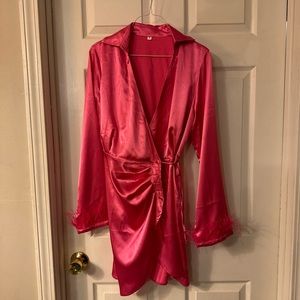 Pink Dress with Feathered Sleeves